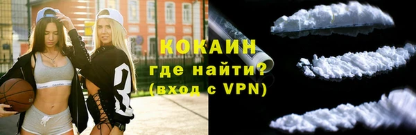 ешки Корсаков
