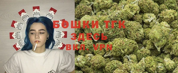 твердый Алексин